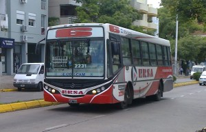 Colectivos2
