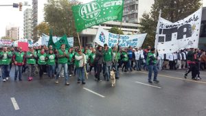 CtaAut1